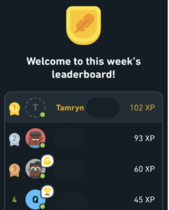 Screenshot of Duolinigo leadership board